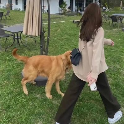 李欧·伯曼