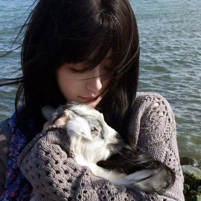 天堂岛疑云第十三季