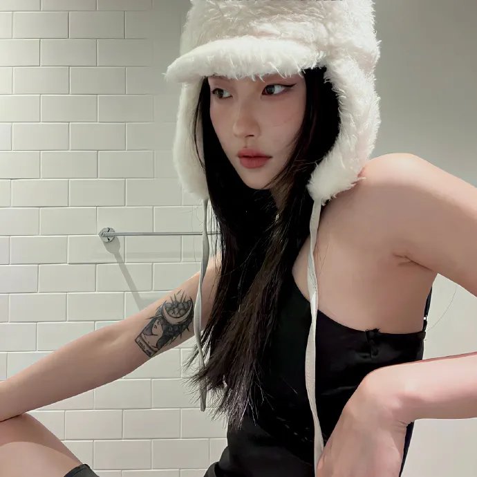 狗的生涯